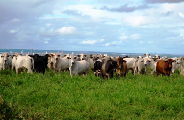 Lavoura-e-Pecuaria