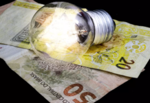 Energia elétrica vira fator decisivo para competitividade no agro