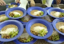 Deputados de MT aprovam projeto que garante comida saudável na merenda escolar
