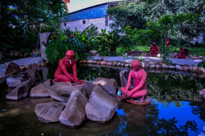 Museu de História Natural (7)