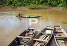 WWF-Brasil contesta lei que restringe pesca em Mato Grosso e aponta falta de evidências científicas