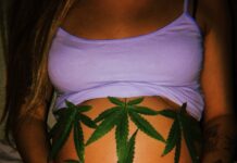 Aborto e maconha lideram rejeição moral entre brasileiros, diz Real Time Big Data