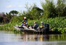Lei que proíbe pesca em Mato Grosso não tem base científica e pode custar R$ 187 milhões ao ano