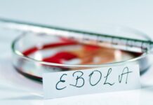 Ministro de Saúde do Congo nega que surto de Ebola esteja “fora de controle”
