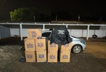 Polícia Civil prende mulher com 495 caixas de cigarros contrabandeados