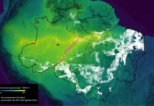 Um mapa mostra por que a BR-319 abrirá uma ferida incurável na Amazônia