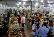 Seaf e Empaer destacam força da agricultura familiar na FIT Pantanal 2026