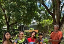 Museu promove dia do meio ambiente com doação de mudas, oficinas e programação para toda a família
