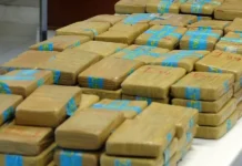 Relatório da ONU aponta expansão do comércio global de cocaína e metanfetamina