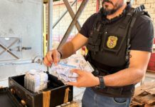 Polícia Civil poe fogo na mala com R$ 10 milhões em notas falsas em Cuiabá