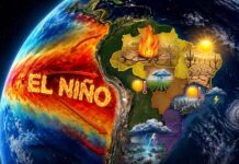El Niño pode aumentar casos de dengue e chikungunya no Brasil