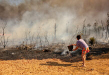 MapBiomas aponta redução de 61% da área afetada por incêndios florestais em Mato Grosso