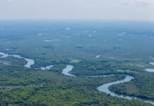 Maior reserva privada do Brasil completa 29 anos como referência em conservação, pesquisa e desenvolvimento sustentável no Pantanal