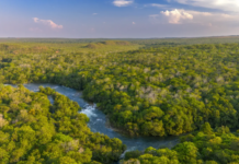 Na bacia do Alto Juruena, indígenas se adaptam à redução de mais da metade da superfície de água em seus territórios