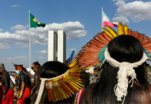 Bancada Indígena 2026 leva força dos territórios para a disputa eleitoral