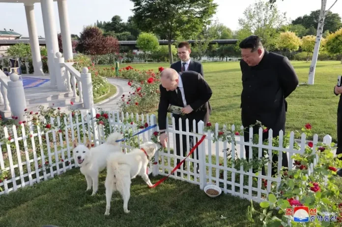 KimJong