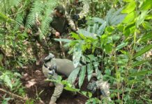 Polícia Civil prende autor de feminicídio ocorrido na zona rural