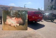 Polícia Civil identifica mãe de recém-nascida encontrada em lixeira em Várzea Grande