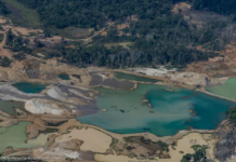 Garimpo avança 562% em terras indígenas e se soma aos impactos do El Niño
