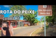 Projeto de Lei que cria Rota do Peixe é aprovado em Cuiabá
