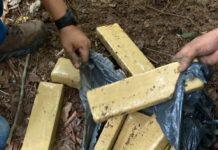 Polícia Civil localiza depósito de facção em mata e apreende 40kg de drogas