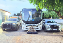 Polícia Militar e Gefron apreendem 31 tabletes de maconha escondidos em bagageiro de ônibus