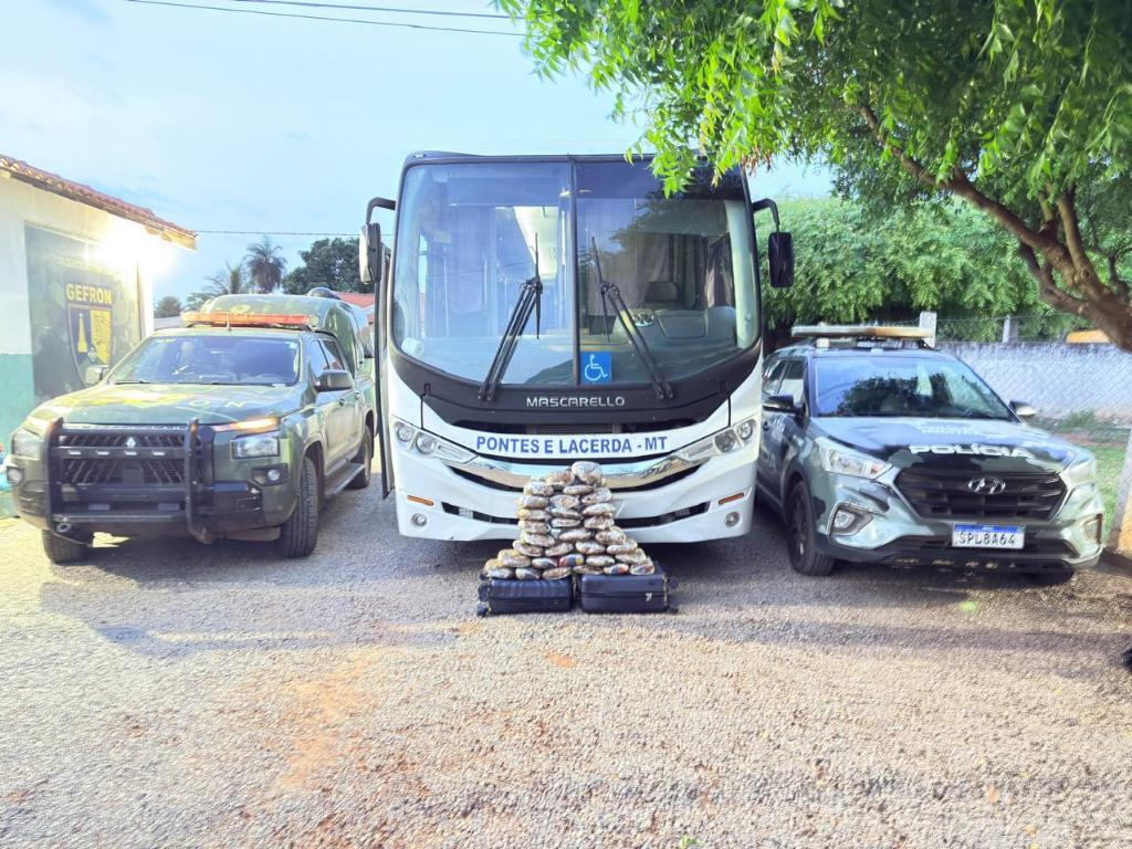 OnibusDr