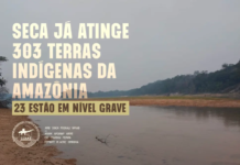 Seca já atinge 303 Terras Indígenas da Amazônia, sendo 23 em nível grave